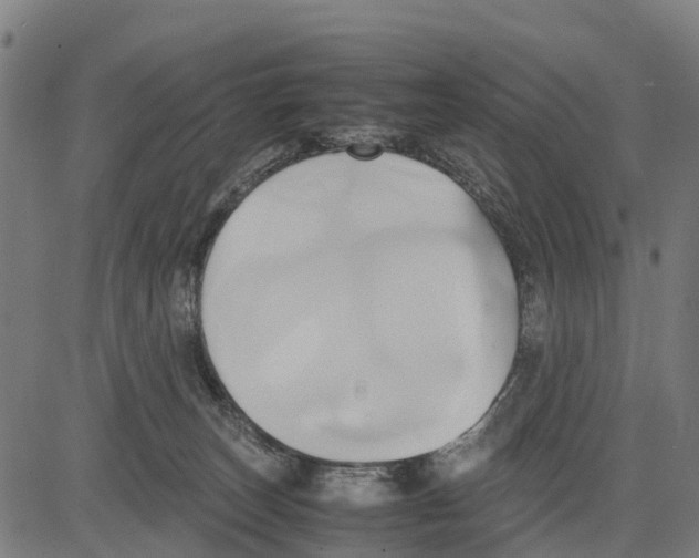 X0000083620179200703121638