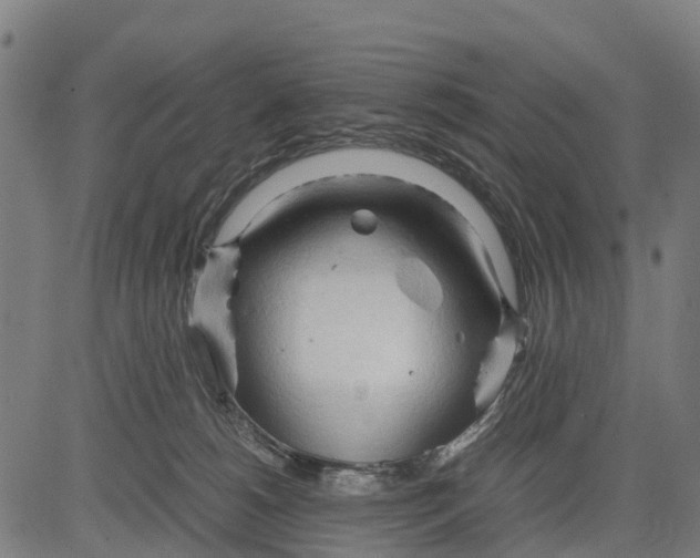 X0000083620180200703121638