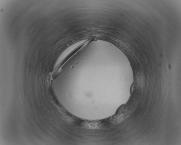 X0000083620181200703121638