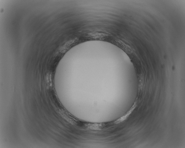 X0000083620182200703121638