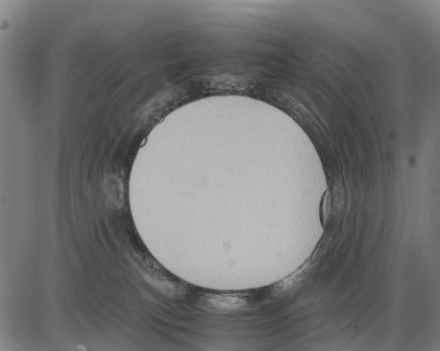 X0000083620183200703121638