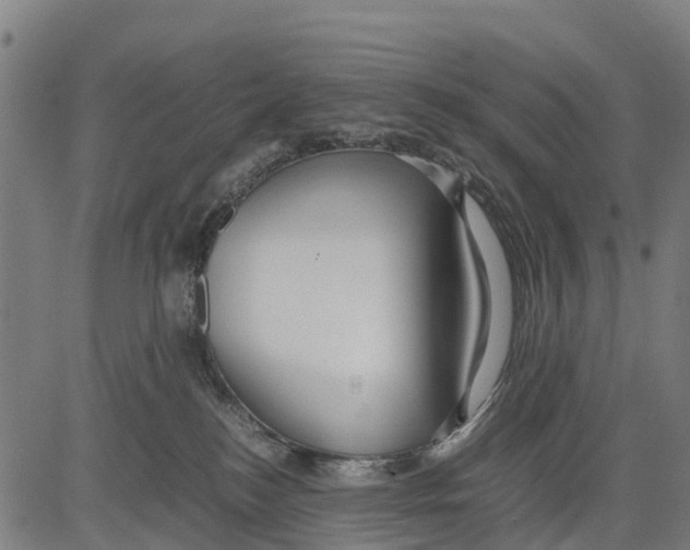 X0000083620184200703121638