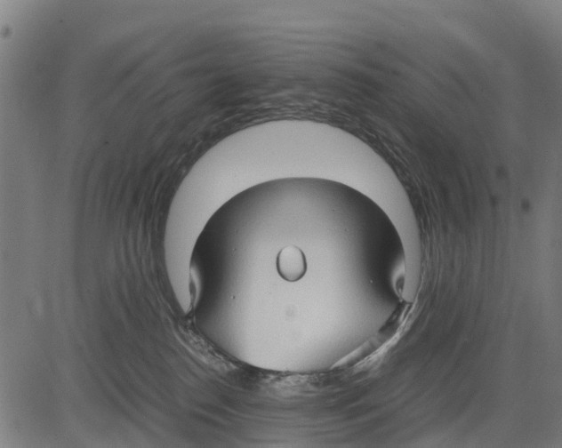 X0000083620186200703121638