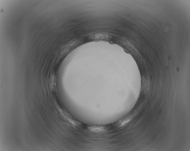 X0000083620189200703121638