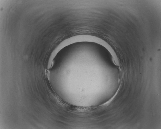 X0000083620190200703121638