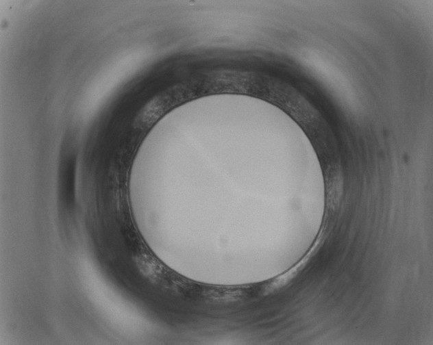 X0000083620191200703121638