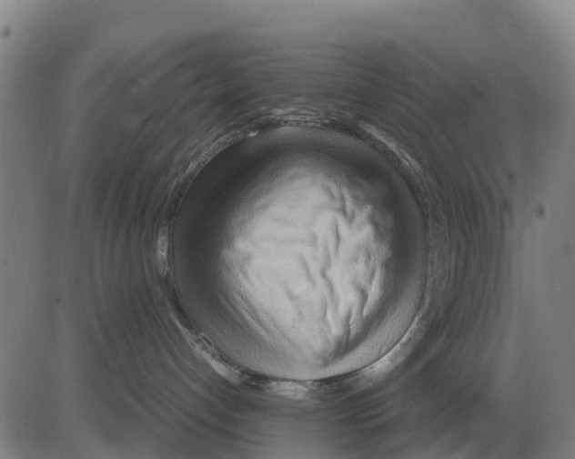 X0000083620192200703121638