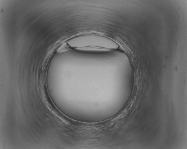 X0000083620193200703121637