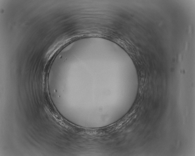 X0000083620194200703121637