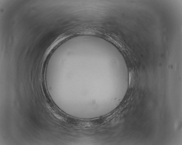 X0000083620195200703121637