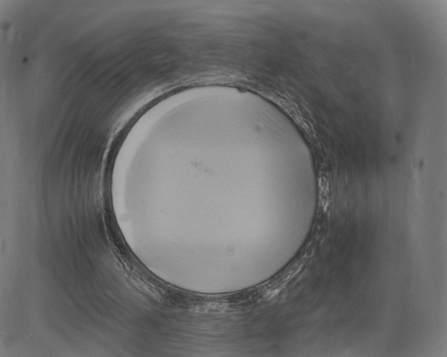 X0000083620196200703121637