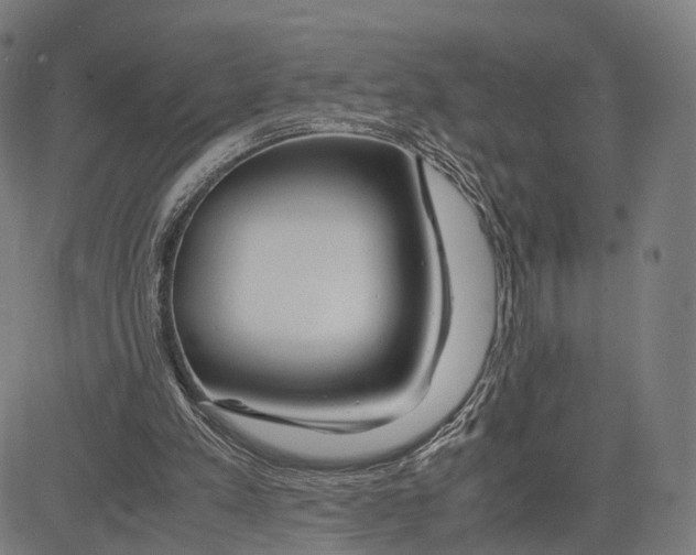 X0000083620197200703121637