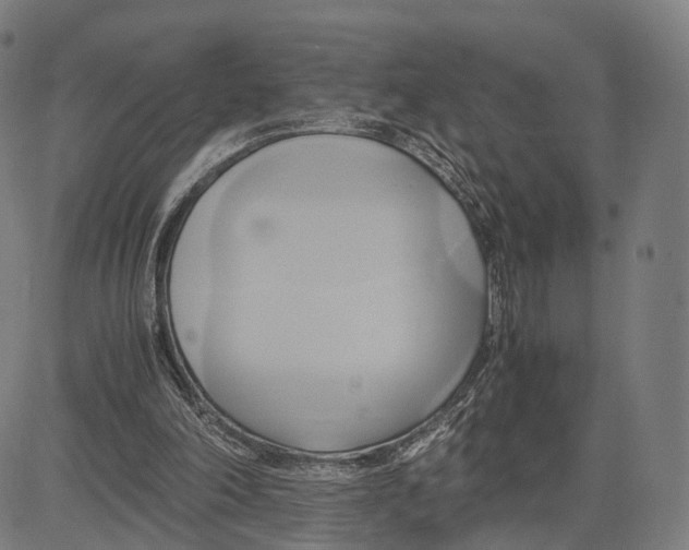 X0000083620198200703121637