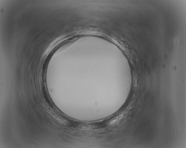 X0000083620199200703121637