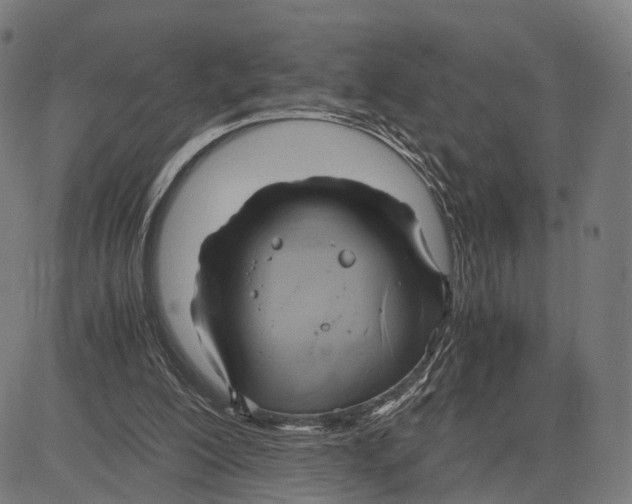 X0000083620200200703121637