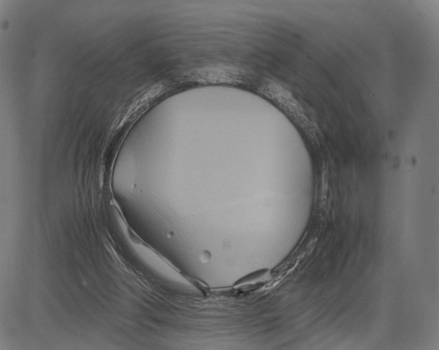 X0000083620202200703121637