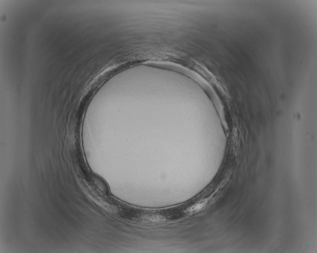 X0000083620203200703121637