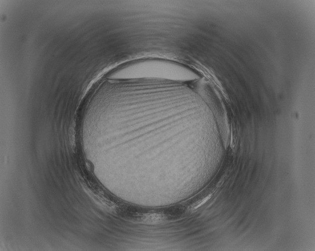 X0000083620204200703121637