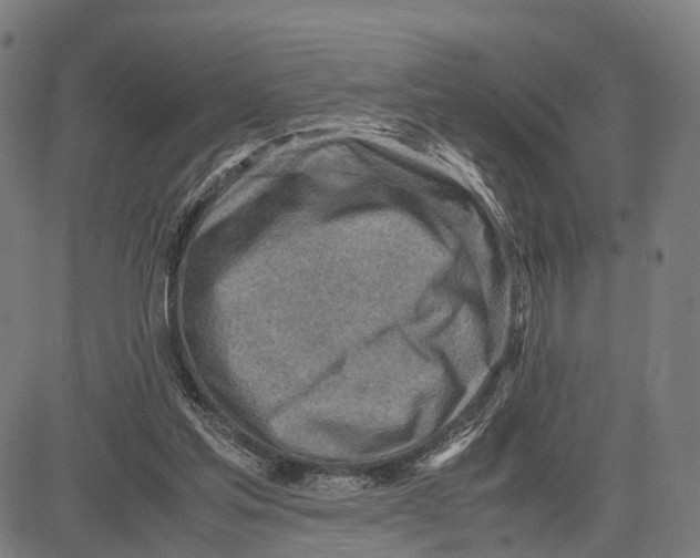 X0000083620205200703121637