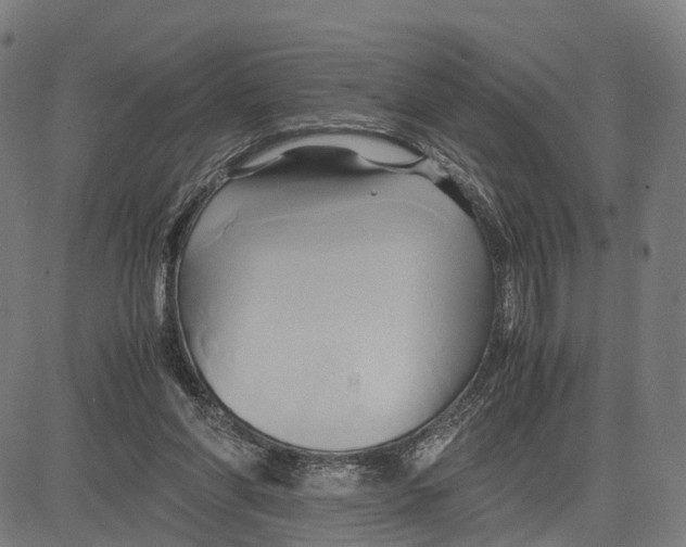 X0000083620206200703121637