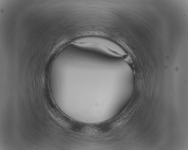 X0000083620207200703121637