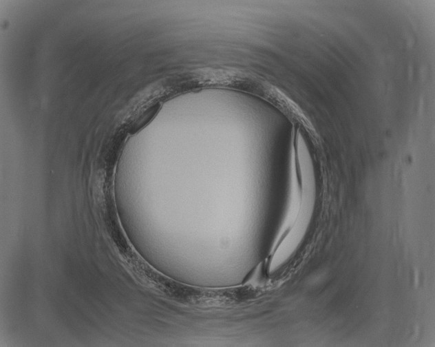 X0000083620209200703121637