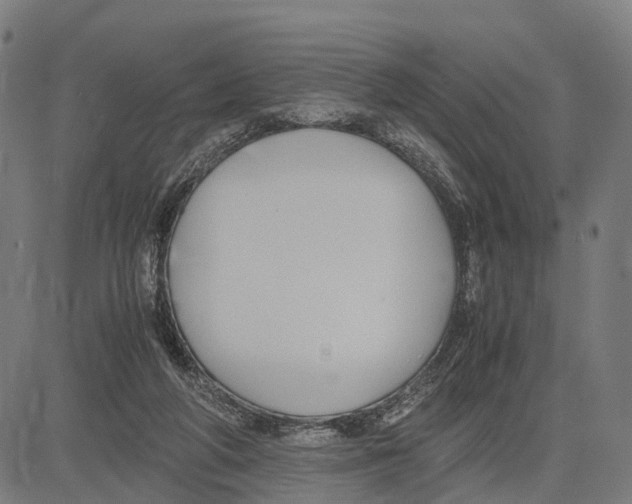 X0000083620210200703121637