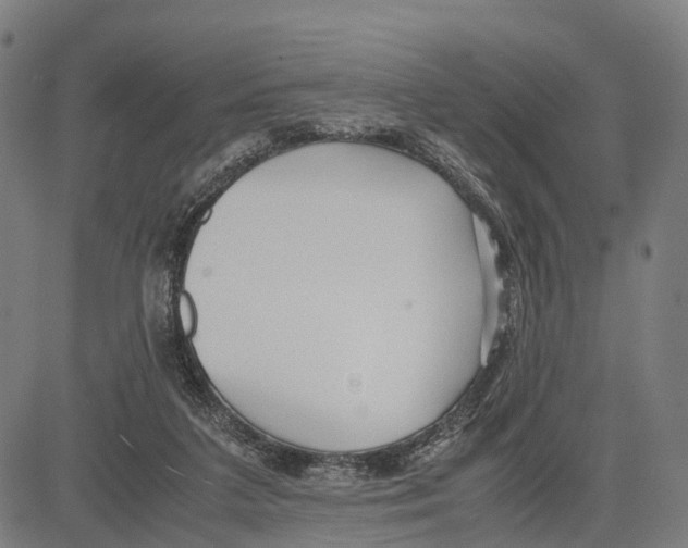 X0000083620211200703121637