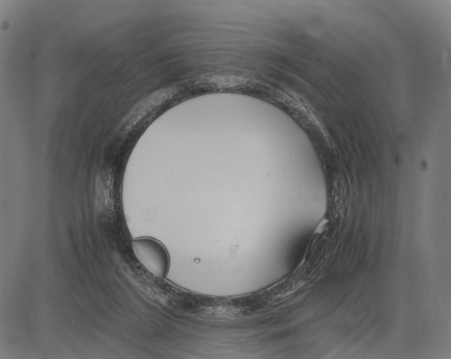 X0000083620212200703121637