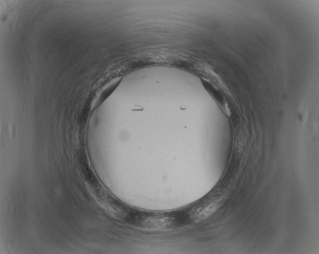 X0000083620213200703121637