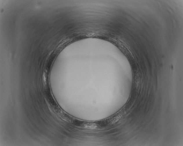 X0000083620214200703121637