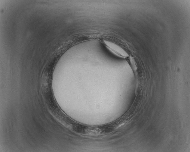 X0000083620215200703121637