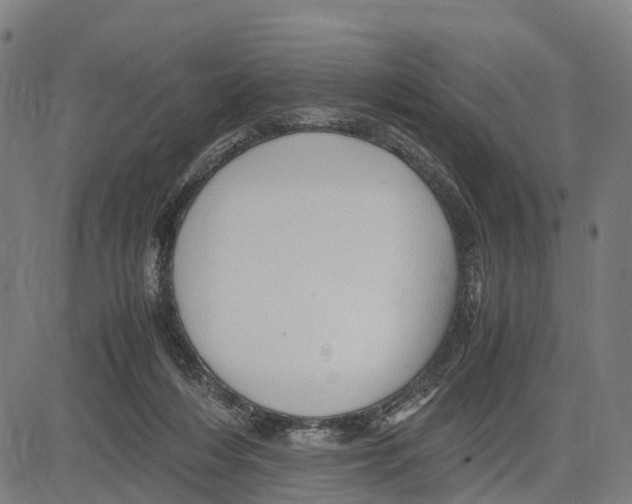 X0000083620216200703121637