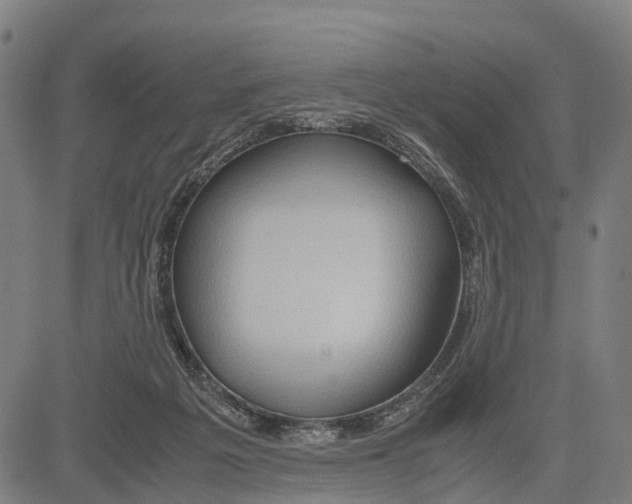 X0000083620217200703121637