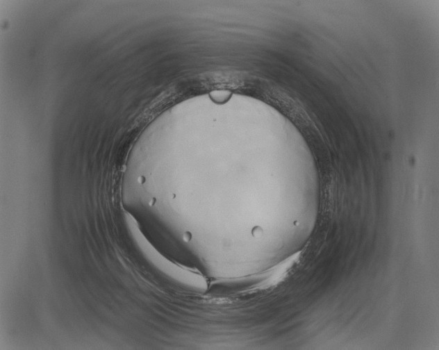 X0000083620218200703121637