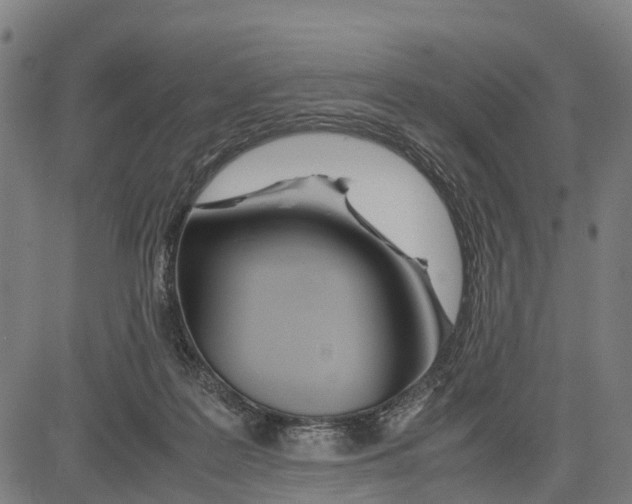 X0000083620219200703121637