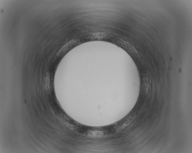 X0000083620220200703121637