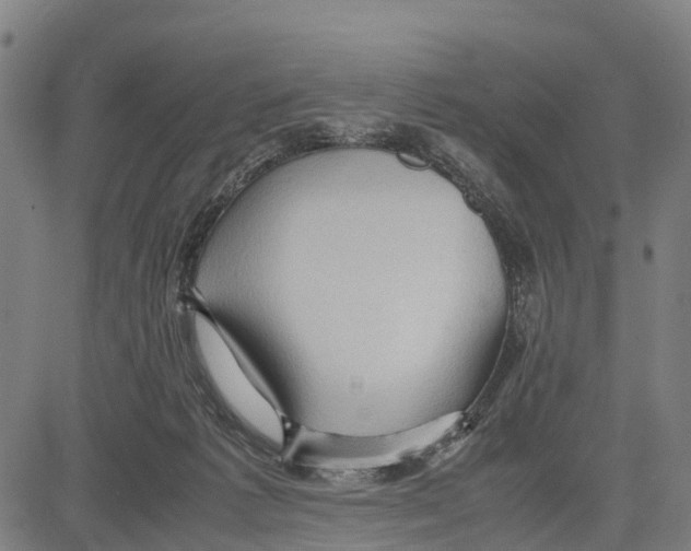 X0000083620221200703121636