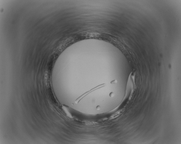 X0000083620222200703121636