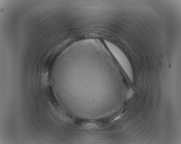 X0000083620224200703121636