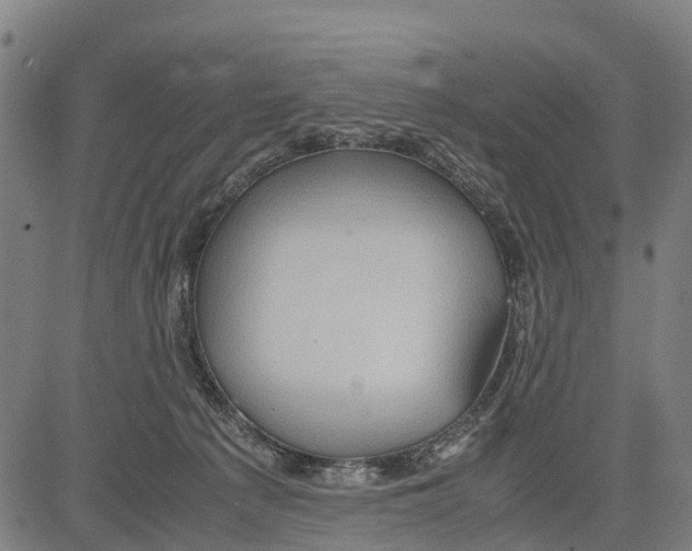 X0000083620225200703121636