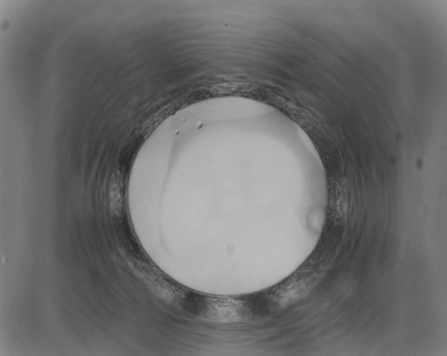 X0000083620226200703121636