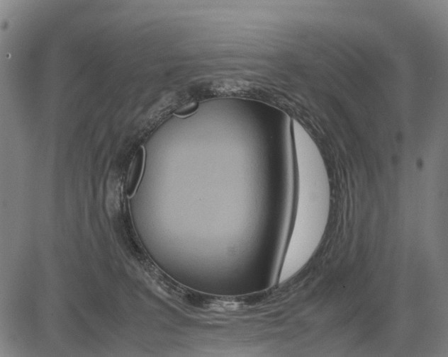 X0000083620227200703121636