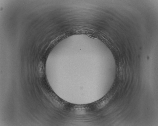 X0000083620228200703121636