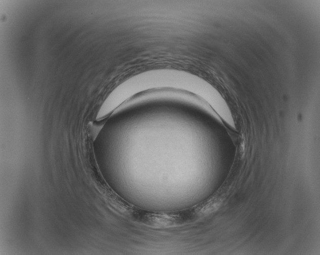 X0000083620229200703121636