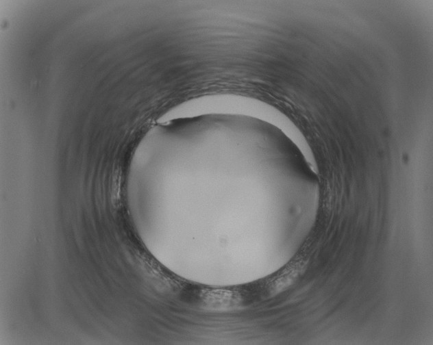 X0000083620230200703121636