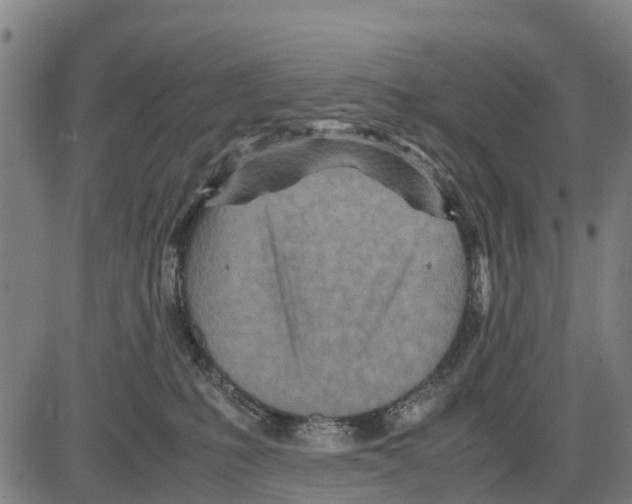 X0000083620231200703121636