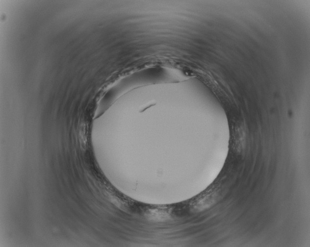 X0000083620232200703121636