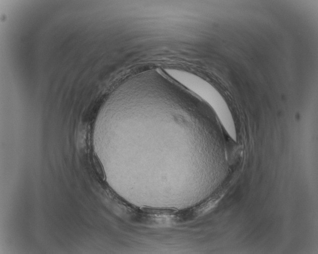 X0000083620233200703121636