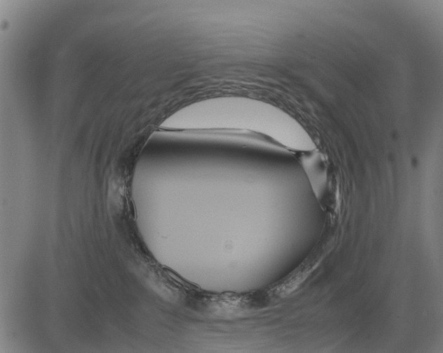 X0000083620235200703121636